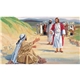 a k632 lord i want to see farm pocket calendar