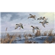 aerial view a group of north american waterfowl calendar, image 9 of 9