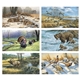 aerial view a group of wildlife art calendar, image 3 of 9