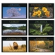 aerial view a group of motivations calendar, image 3 of 9