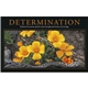 aerial view a group of motivations calendar, image 5 of 9