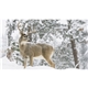 aerial view a group of natures wildlife spectacular calendar, image 4 of 9