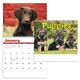 aerial view a group of adorable puppies wall calendar, image 2 of 19