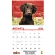 aerial view a group of adorable puppies wall calendar, image 5 of 19