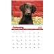 aerial view a group of adorable puppies wall calendar, image 6 of 19