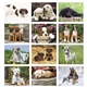 aerial view a group of adorable puppies wall calendar, image 6 of 18