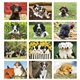 aerial view a group of adorable puppies wall calendar, image 7 of 19