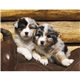 aerial view a group of adorable puppies wall calendar, image 9 of 19