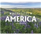 aerial view a group of beautiful america calendar, image 4 of 19