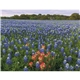 aerial view a group of texas landscapes wall calendar, image 11 of 19