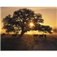 aerial view a group of texas landscapes wall calendar, image 15 of 19