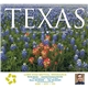 aerial view a group of texas landscapes wall calendar, image 3 of 19