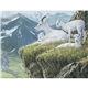 aerial view a group of wildlife art - triumph(r) calendars - digital, image 11 of 19