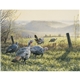 aerial view a group of wildlife art - triumph(r) calendars - digital, image 12 of 19