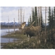aerial view a group of wildlife art - triumph(r) calendars - digital, image 13 of 19