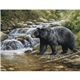 aerial view a group of wildlife art - triumph(r) calendars - digital, image 14 of 19