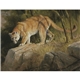 aerial view a group of wildlife art - triumph(r) calendars - digital, image 15 of 19