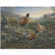 aerial view a group of wildlife art - triumph(r) calendars - digital, image 16 of 19