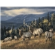aerial view a group of wildlife art - triumph(r) calendars - digital, image 17 of 19