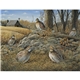 aerial view a group of wildlife art - triumph(r) calendars - digital, image 18 of 19