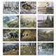 aerial view a group of wildlife art - triumph(r) calendars - digital, image 7 of 19