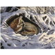 aerial view a group of wildlife art - triumph(r) calendars - digital, image 9 of 19