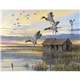 aerial view a group of wildlife art - triumph(r) calendars - digital, image 10 of 19