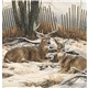 aerial view a group of wildlife art - triumph(r) calendars - offset, image 6 of 35