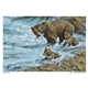 aerial view a group of wildlife art calendar, image 13 of 19