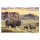 aerial view a group of wildlife art calendar, image 14 of 19