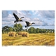 aerial view a group of wildlife art calendar, image 15 of 19