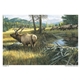 aerial view a group of wildlife art calendar, image 16 of 19