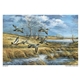 aerial view a group of wildlife art calendar, image 10 of 19