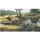 aerial view a group of wildlife art calendar, image 12 of 15