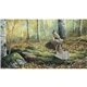 aerial view a group of wildlife art calendar, image 13 of 15