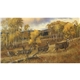 aerial view a group of wildlife art calendar, image 14 of 15