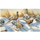 aerial view a group of wildlife art calendar, image 15 of 15