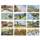 aerial view a group of wildlife art calendar, image 3 of 15