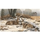 aerial view a group of wildlife art calendar, image 4 of 15
