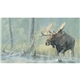 aerial view a group of wildlife art calendar, image 7 of 15