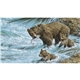 aerial view a group of wildlife art calendar, image 9 of 15