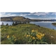aerial view a group of american splendor without date blocks calendar, image 12 of 15