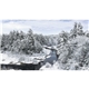 aerial view a group of american splendor without date blocks calendar, image 15 of 15