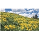 aerial view a group of american splendor without date blocks calendar, image 7 of 15