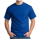 a deep royal hanes(r) 100 cotton t - shirt
