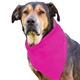 aerial view a fuchsia cotton big doggy pet bandana, image 1 of 2