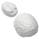 aerial view a grey brain stress ball reliever, image 1 of 2