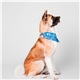 a group of large dog bandana
