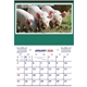aerial view a green/young pigs picture farm calendar, image 1 of 2