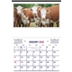 aerial view a white/herefords picture farm calendar, image 1 of 2
